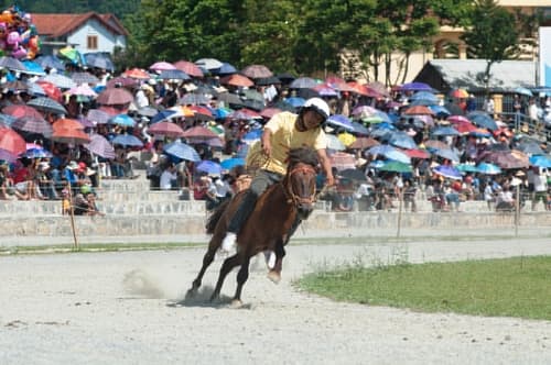 “Vó ngựa” Bắc Hà