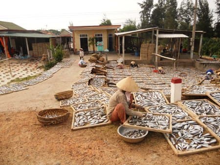 Nhọc nhằn nghề hấp cá thuê ở Cửa Việt