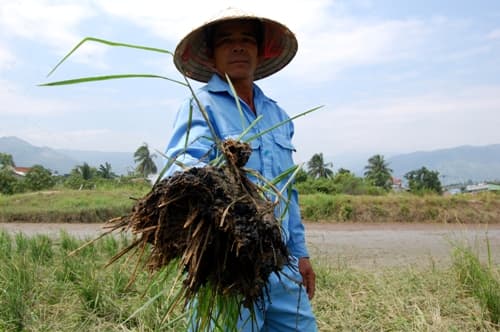 Ô nhiễm môi trường ở xã Suối Tân, huyện Cam Lâm (tỉnh Khánh Hòa): Cần sớm công khai thông tin và có phương án xử lý