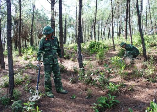 Mang màu xanh về vùng đất lửa