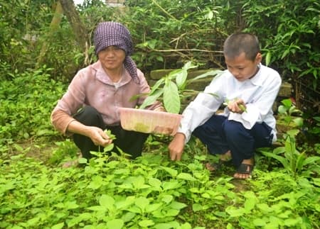 Hoàn cảnh gia đình bà Sẽ rất đáng thương