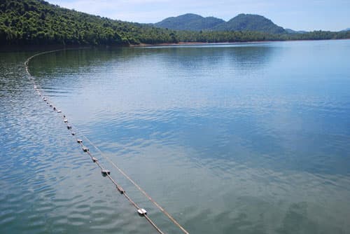 Công ty du lịch hàng đầu Australia khai thác tiềm năng du lịch Việt Nam