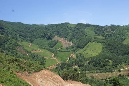 Cho doanh nghiệp thuê đất rừng rồi... bỏ hoang
