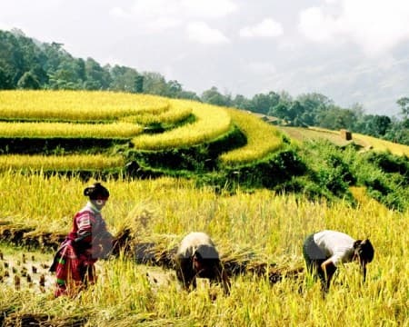 Miền Bắc nhiệt độ tăng nhẹ