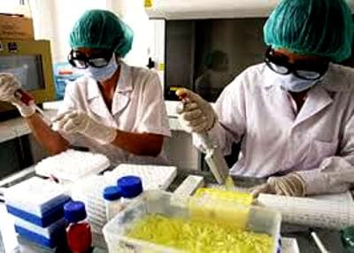 Chẩn đoán di truyền tiền làm tổ - Cơ hội cho những gia đình có nguy cơ sinh con bị bệnh di truyền