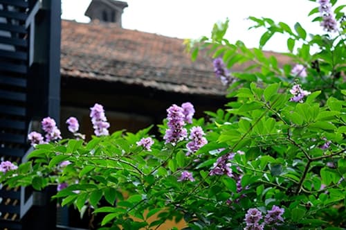 Bắc Bộ và Thanh Hóa tạm thời chấm dứt nắng nóng