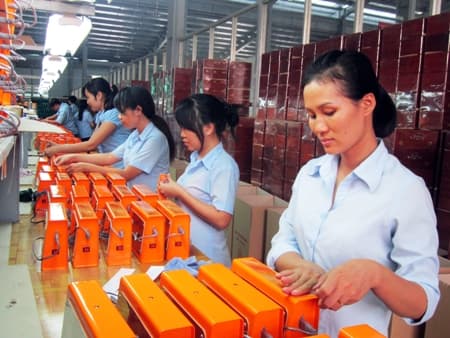 Công ty TNHH MTV Thông tin điện tử Z755: "Đi đều hai chân"