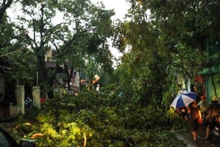 Chiều tối 14-6, Hà Nội đề phòng tố lốc và gió giật mạnh