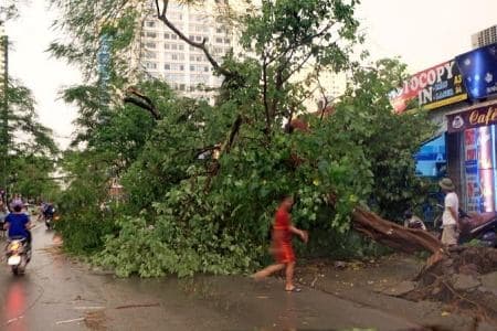 Hà Nội báo cáo Thủ tướng về khắc phục hậu quả dông lốc