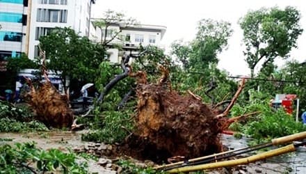 Đêm nay (14-6), mưa dông tiếp diễn ở Bắc Bộ