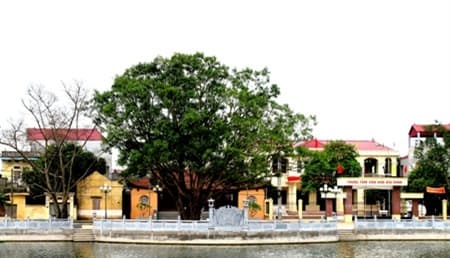 Đại Đình đổi mới