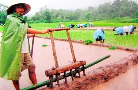 Nhân lên sự bình dị mà cao quý