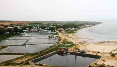 Điều chỉnh địa điểm xây dựng hai nhà máy điện hạt nhân tại Ninh Thuận