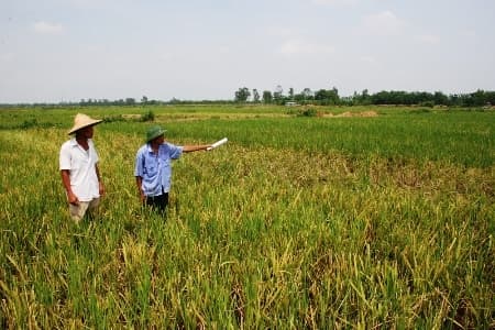 Xã Vạn Thái, huyện Ứng Hòa (TP Hà Nội): Khẩn trương làm đất để nông dân có ruộng cấy