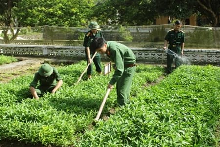 Vinh dự là người chiến sĩ