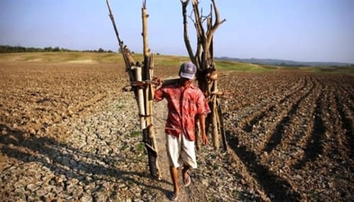 Các quốc gia châu Á cần chung tay để giảm thiểu tác động của El Nino
