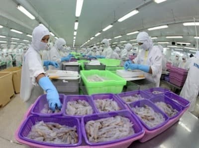 Nguyên tắc hoạt động trong lĩnh vực tiêu chuẩn và quy chuẩn kỹ thuật