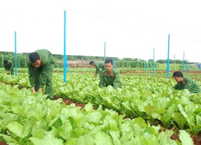 Chiến sĩ mới an tâm luyện rèn