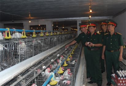 Ngon hơn với những bữa “cơm nhà”
