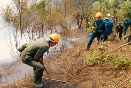 Thiệt hại còn lớn, bất cập còn nhiều