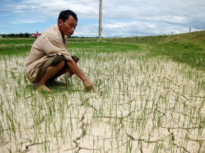 Bảo đảm tài nguyên nước và an ninh lương thực quốc gia