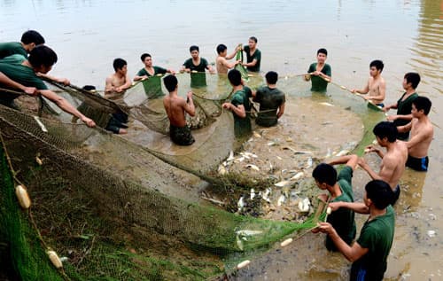 Nâng chất lượng bữa ăn từ nội lực