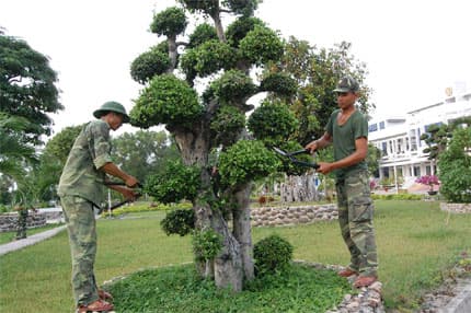 Đẹp từ cổng đến doanh trại