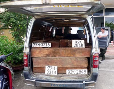 Bình Định: Bắt xe chở gỗ không rõ nguồn gốc cùng… 2 bộ biển số