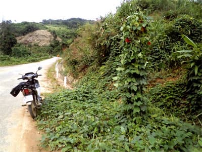 Panô, biển báo dãi dầu mưa, nắng