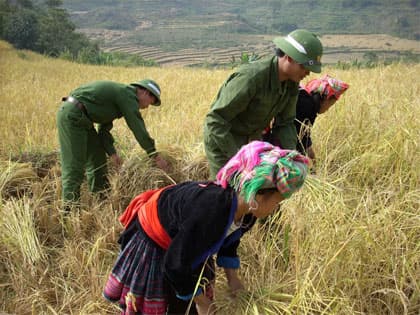 Hiệu quả và những thách thức mới