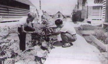 Những ngày chiếu phim ở Trại Đa-vít