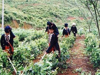 Giảm nghèo vẫn là một ưu tiên cấp thiết cho Việt Nam