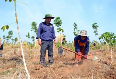 Hành trình về Chăm-pa-sắc (Tiếp theo và hết)