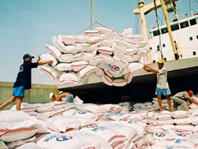 Việt Nam vẫn dư thừa gạo từ 10 đến 20 năm tới