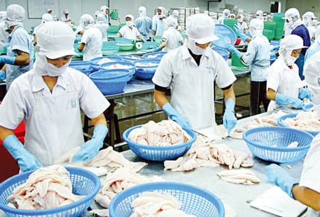 VDB đề nghị Thủ tướng xem xét chấp thuận giải pháp cứu cá tra