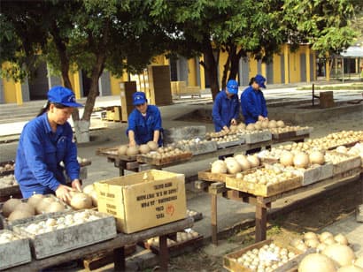Niềm vui từ những “sắc hoa”