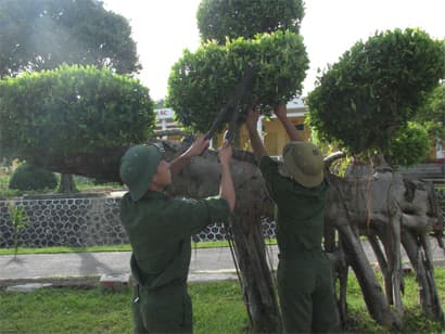 “Hoa và súng” trên đảo Cô Tô