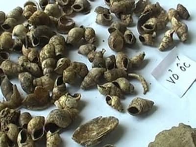 Phát hiện di tích người tiền sử tại tỉnh Tuyên Quang