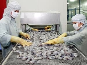 Tôm Việt Nam bị Mỹ áp thuế chống phá giá 1,25%