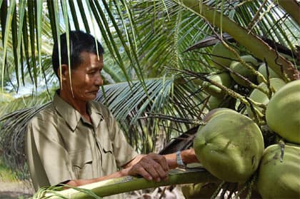 Chuyện vượt khó của ông Sáu Thành