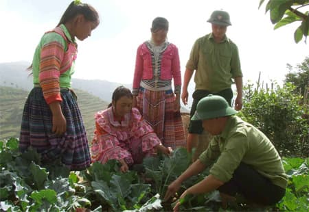 Lo nơi ở và lo sản xuất, đời sống