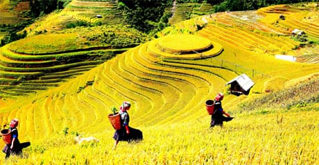 Triển lãm ảnh “Hoa văn núi”