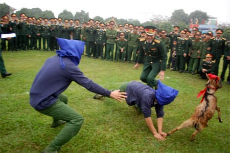 Lính tăng vui Xuân, đón Tết