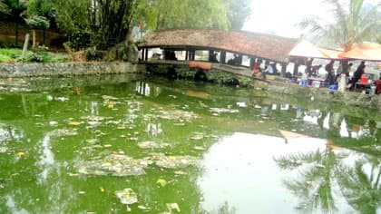 Chùa Thầy bớt “đẹp” vì rác