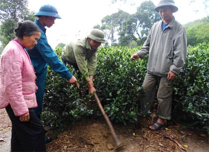“Anh Hai nông thôn mới”