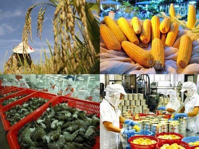 Xuất khẩu vào EU nên tập trung vào hàng nông sản