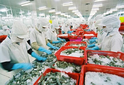 Xuất khẩu năm 2013: Còn nhiều tiềm năng