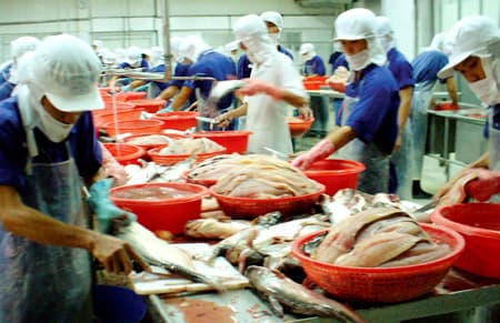 Tổ chức lại xuất khẩu cá tra vào thị trường Mỹ