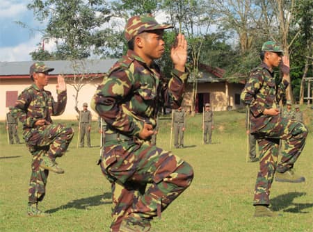 65 mùa Chăm-pa nở hoa (bài 1)
