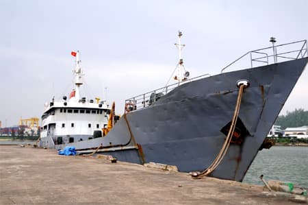 Thêm một lần đón Xuân trên biển